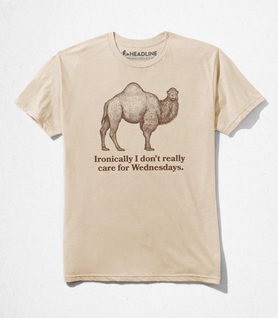 Ironic Camel