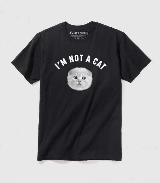 I'm Not A Cat