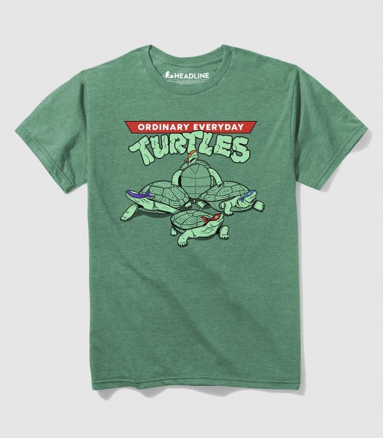 Ordinary Everyday Turtles