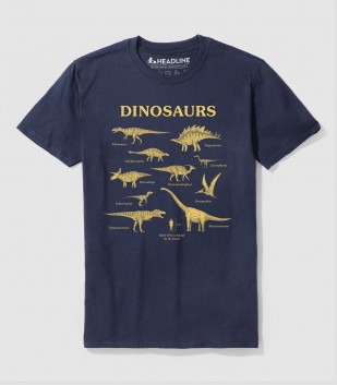 Dinosaurs & Idiot