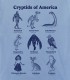 Cryptids of America